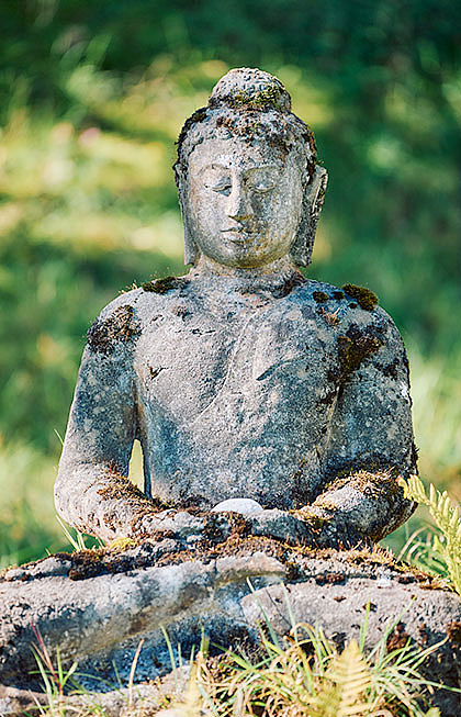 Ein Buddha aus Stein bewacht das Seehaus.