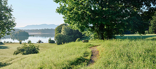 Medizin für Herz & Seele