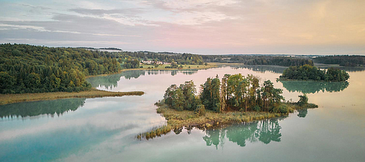 Medizin für Herz & Seele