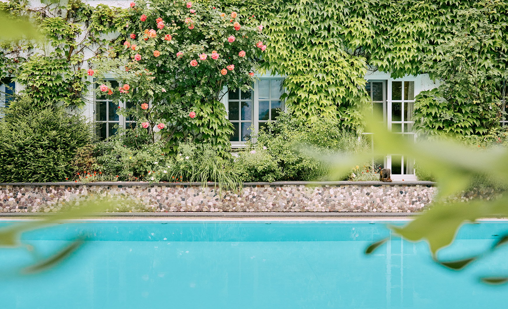 Pool mit Rosen